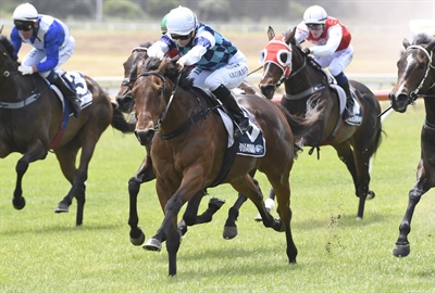 LOGAN RACING STABLES HAVE 7 STARTERS AT ELLERSLIE ON SATURDAY 3rd MARCH